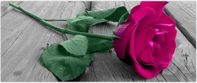 Tablou - Trandafir roz cu tulpina verde (120x50 cm)