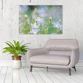 Tablou - Flori delicate (90x60 cm)