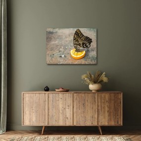Tablou cu fluturi (70x50 cm)