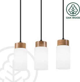 Lustră cu cablu MARKUS 3xE27/15W/230V negru/stejar