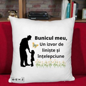 Cadou pentru Bunic - Perna Personalizata Bunicul Meu Izvor de Liniste cu Fluture si Fetita, 40x40 cm, Alb Pufos, Husa Detasabila, Perna Inclusa, BEKZ®