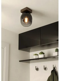 Plafonieră FILAGO Eglo 900825 1xE27/40W/230V