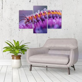 Tablou - Caterpillar (90x60 cm)