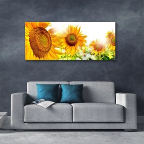 Tablou pe panza canvas Floarea soarelui Floral Galben Maro
