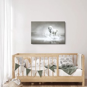 Tablou - Cal alb (90x60 cm)