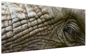 Tablou - Prim-planul ochiului de elefant vechi (120x50 cm)