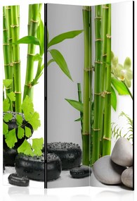 Paravan - Bamboos and Stones [Room Dividers]