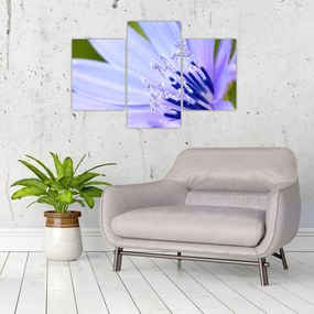 Tablou - Floare (90x60 cm)