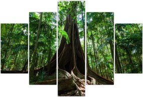 Tablou - Rădăcinile copacului (150x105 cm)