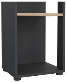 Bibliotecă gri antracit/cu aspect de lemn de stejar 41x205 cm Sign – Tvilum