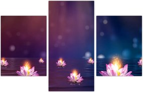 Tablou - Nuferi magici (90x60 cm)
