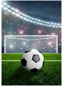 Fotbal pătură fleece 100x140cm