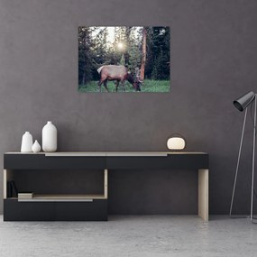 Tablou pe sticlă - Elan în poiană (70x50 cm)