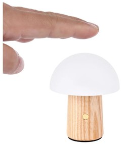 Veioză în culoare naturală LED cu intensitate reglabilă din lemn de frasin (înălțime 7 cm) Alice – Gingko