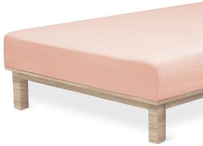 4Home Jersey Sheet Luxury Powder , 90 x 200 cm, 90 x 200 cm