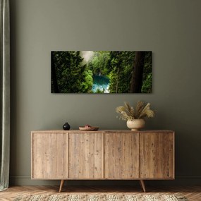 Tablou - Fereastra între copaci (120x50 cm)