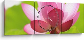 Tablou cu flori de lotus (cu ceas) (90x30 cm)