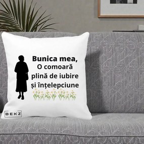 Cadou pentru Bunica - Perna Personalizata Bunica Mea Comoara Iubire Intelepciune Silueta cu Nepoata, 40x40 cm, Alba Mata, Husa Detasabila, Perna Inclusa, BEKZ®