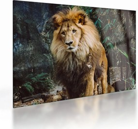 Tablou pe sticlă cu leu în natură (70x50 cm)