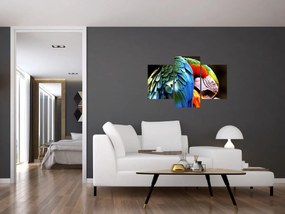 Tablou - Papagal (90x60 cm)