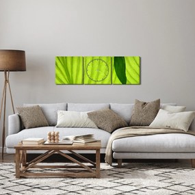 Tablou - Detaliu de frunză verde (cu ceas) (90x30 cm)