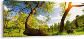 Tablou lunca ne primăvară (120x50 cm)