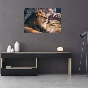 Tablou cu leul dormind (90x60 cm)