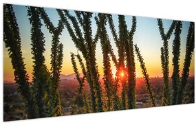 Tablou - Plante (120x50 cm)