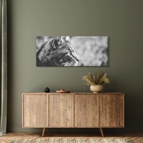 Tablou - Pisica (120x50 cm)