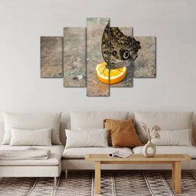 Tablou cu fluturi (150x105 cm)