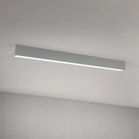 Lustra liniara aplicata/ suspendata LED CCT PALKKI 113cm, argintiu