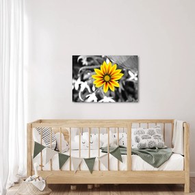 Tablou cu floare galbenă (70x50 cm)