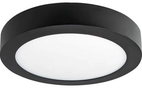 Plafonieră LED FENIX LED/12W/230V 3800K d. 17 cm