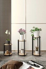 Ghiveci Florissimo (stejar).. Promo -6%. 1127785
