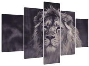 Tablou cu leu (150x105 cm)