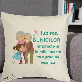 Cadou pentru Bunici - Perna Personalizata Bunicii Iubirea Infloreste cu Nepoata Teal, 40x40 cm, Ecru, Husa Detasabila, Perna Inclusa, BEKZ®