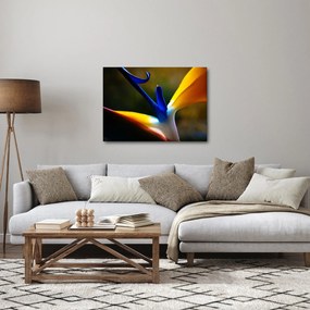 Tablou - Floare exotică (70x50 cm)