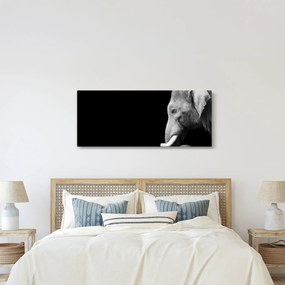 Tablou - Elefant (120x50 cm)
