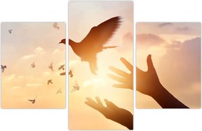 Tablou - Porumbițo, zboară! (90x60 cm)