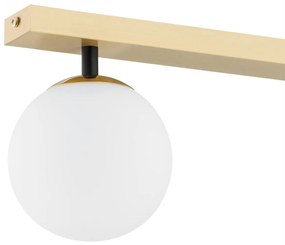 Lustra aplicata cu 2 surse de lumina FREEMONT