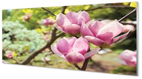 Tablouri acrilice copac magnolie