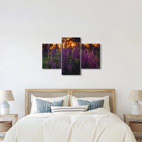 Tablou - Flori de lupin (90x60 cm)