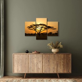 Tablou - Savana africană (90x60 cm)