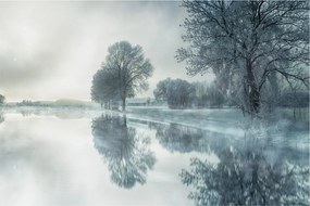 Tablou cu natura iarna (90x60 cm)