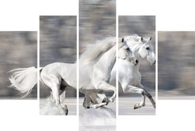 Tablou - Cai albi în timpul iernii (150x105 cm)