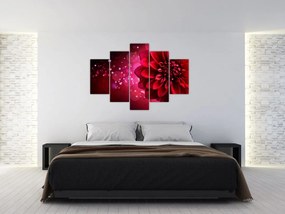 Tablou cu floare roșie (150x105 cm)