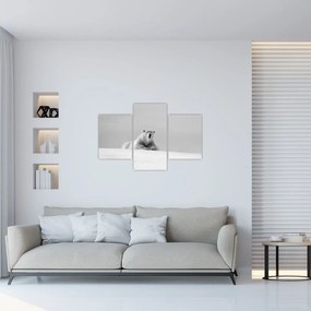 Tablou - Ursul polar (90x60 cm)