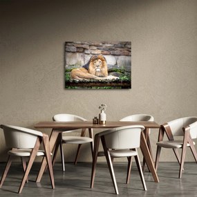 Tablou cu leu (70x50 cm)