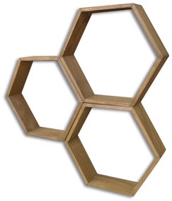 Raft Lunole 1 (Nuc) . 1096051
