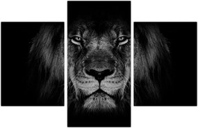 Tablou - Leu majestic (90x60 cm)